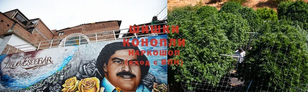 Альфа ПВП Аркадак