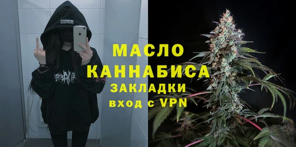 Альфа ПВП Аркадак