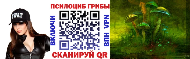 где можно купить наркотик Старица kraken онион Галлюциногенные грибы GOLDEN TEACHER